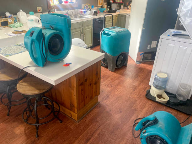 Best Basement water damage restoration  in Irwin, PA