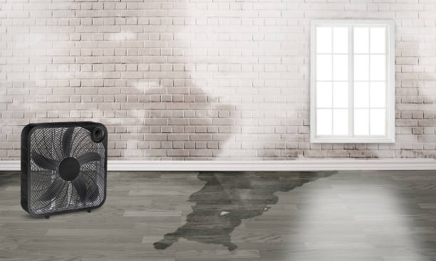 Best Commercial water damage restoration  in Irwin, PA