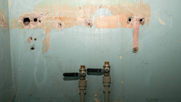 Best Ceiling water damage repair  in Irwin, PA