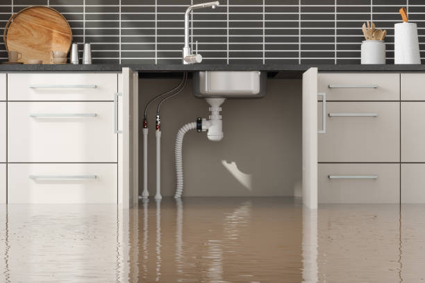 Best Ceiling water damage repair  in Irwin, PA