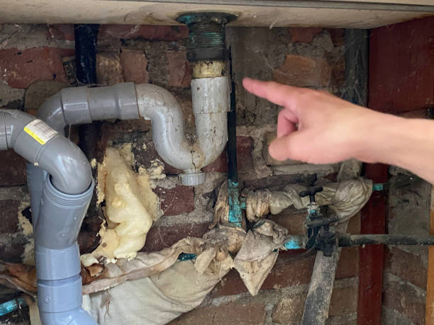 Best Professional water damage repair  in Irwin, PA