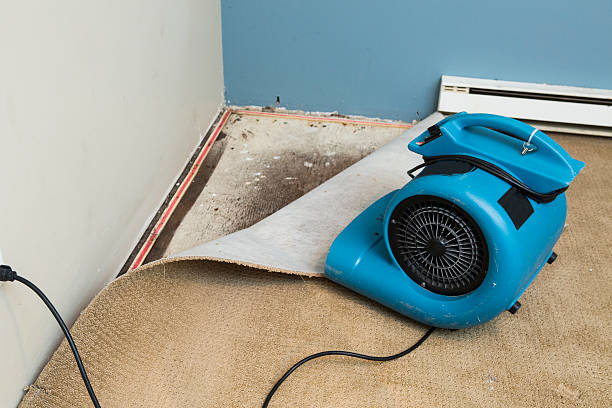 Best Sewage cleanup and water damage restoration  in Irwin, PA